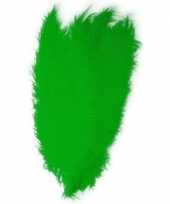 Grote veer struisvogelveren groen verkleed accessoire