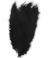 Grote veer struisvogelveren zwart verkleed accessoire