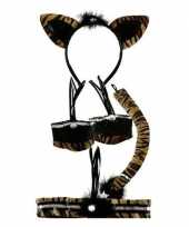 Katten poezen verkleed set tijger kinderen