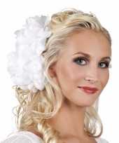Witte flamenco haarbloem